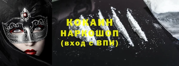 индика Беломорск