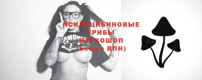 кокаин перу Михайлов