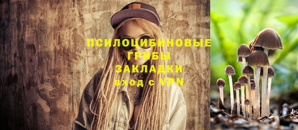 ALPHA-PVP Белокуриха