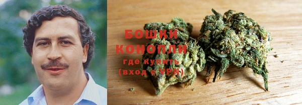 PSILOCYBIN Белоозёрский