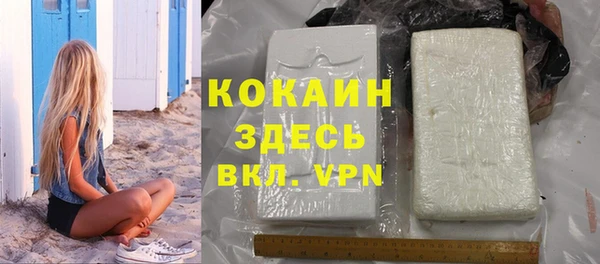 индика Беломорск