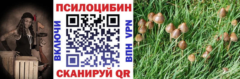 Галлюциногенные грибы мицелий  Купить  Амурск 